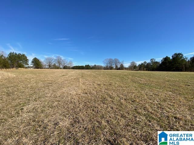Stolle Farm Road, Unit 13 Springville, AL 35146 - Photo 3 of 10