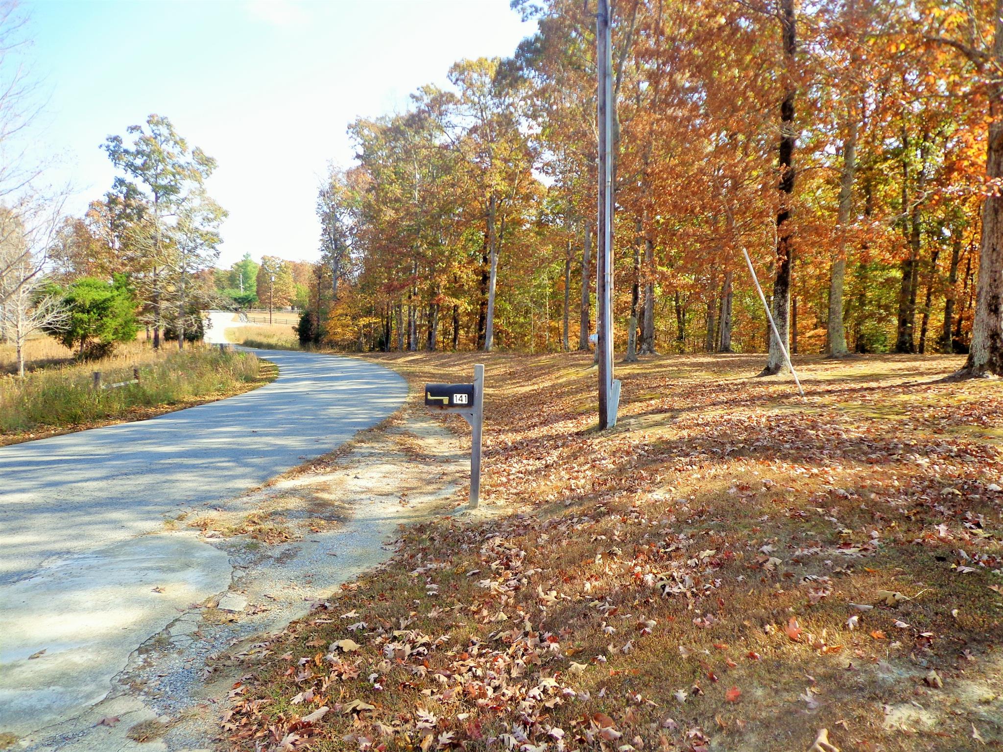 141 Mayne Trace Road Waverly, TN 37185 - Photo 8 of 29 Street Scene - Long road frontage w/ extra wooded parcel.