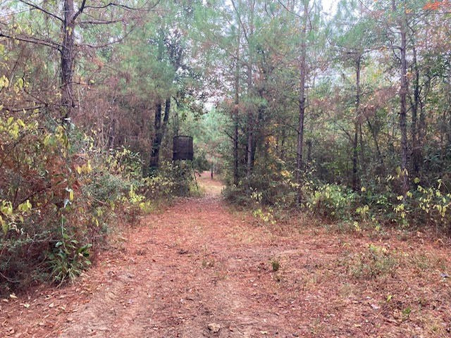 0 East Lewiston Road Kentwood, LA 70444 - Photo 9 of 26 Photo 9
