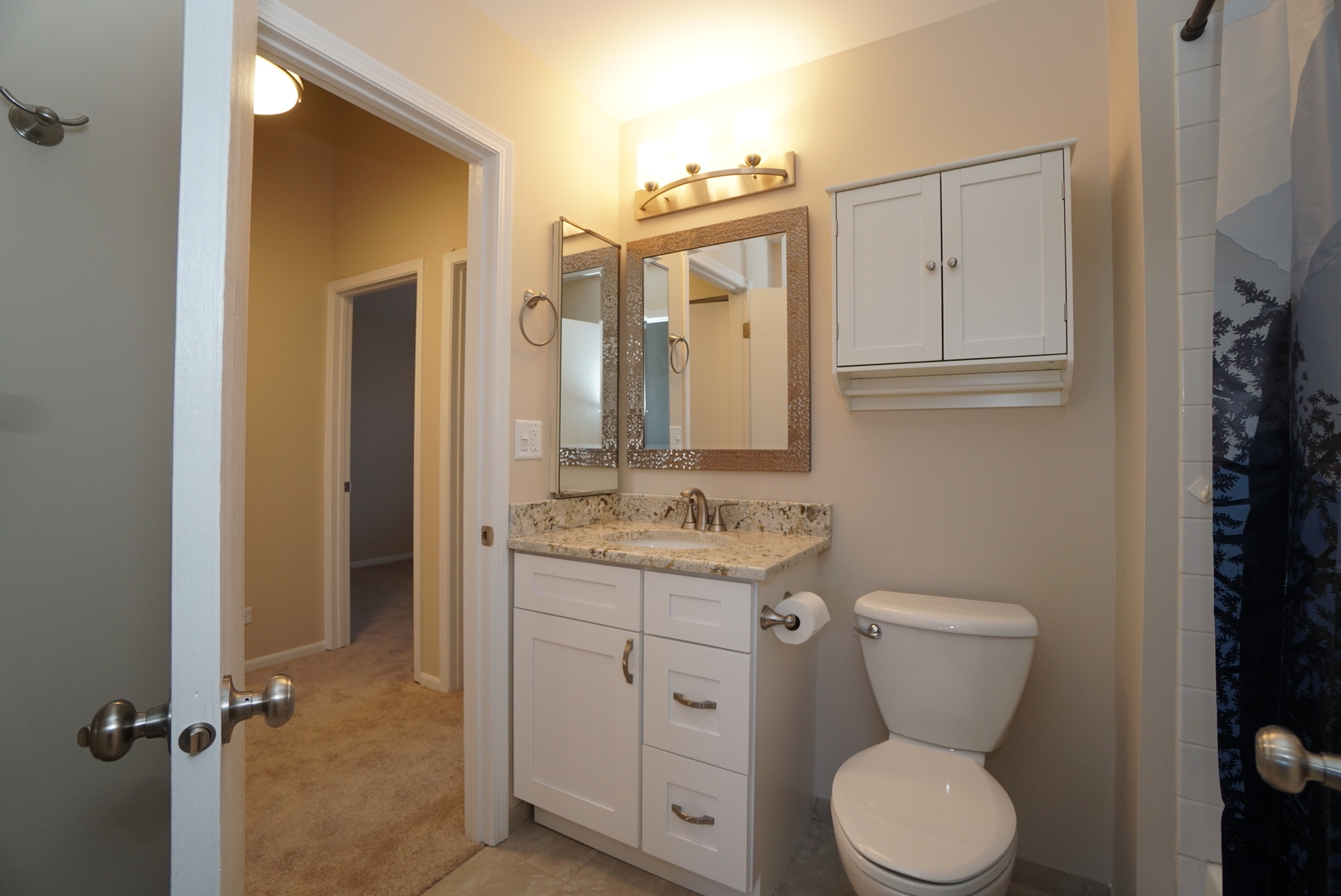 86 Bradford Lane Mundelein, IL 60060 - Photo 14 of 21 a bathroom with a granite countertop toilet sink and mirror
