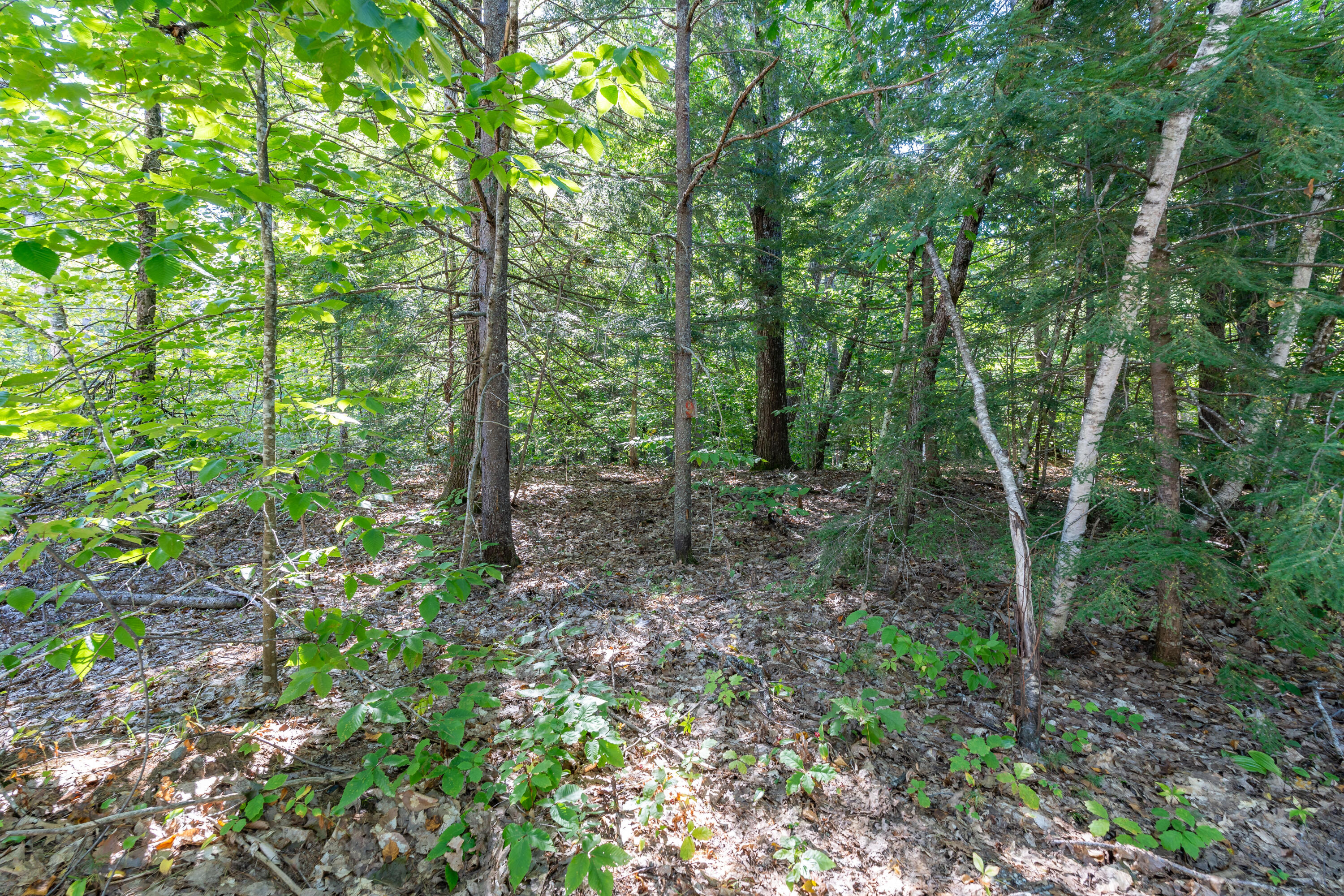 Lot 9 Greeley Brook Road Oxford, ME 04270 - Photo 4 of 15 0.46 Acres