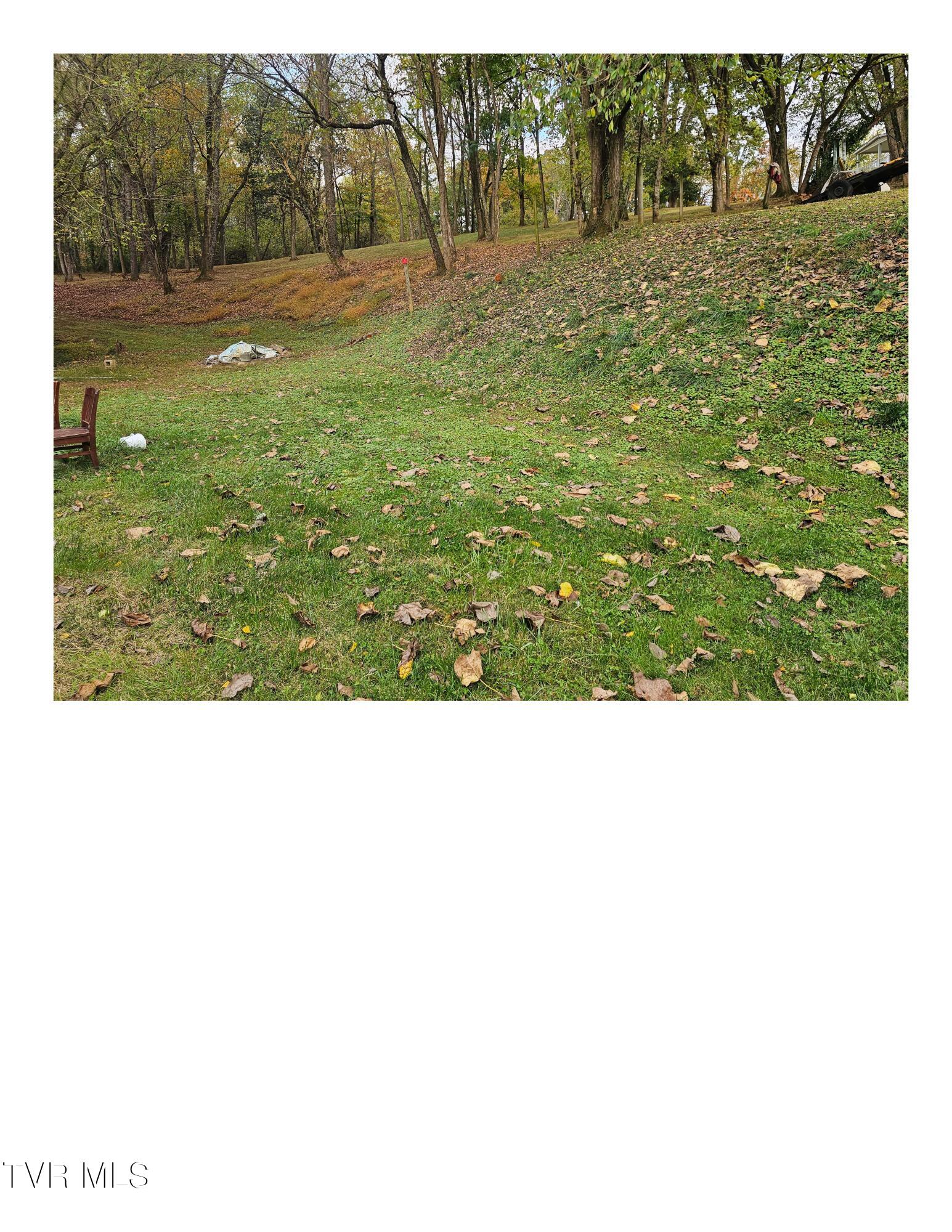 1825 Sweetbriar Road Kingsport, TN 37665 - Photo 3 of 4 1000012326.jpg