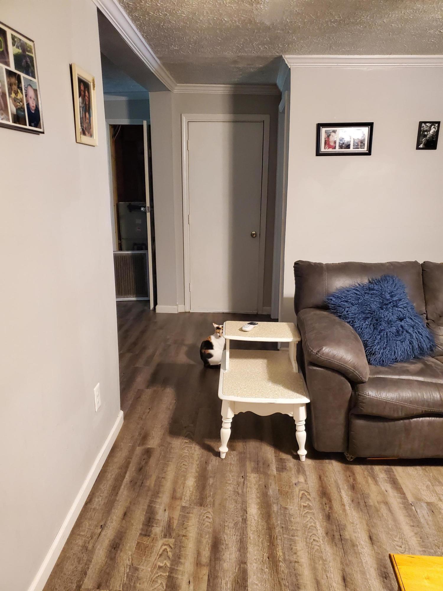 260 David Williams Road Eubank, KY 42567 - Photo 24 of 45 Living Room/Upstairs Door