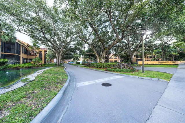a view of a park with large trees