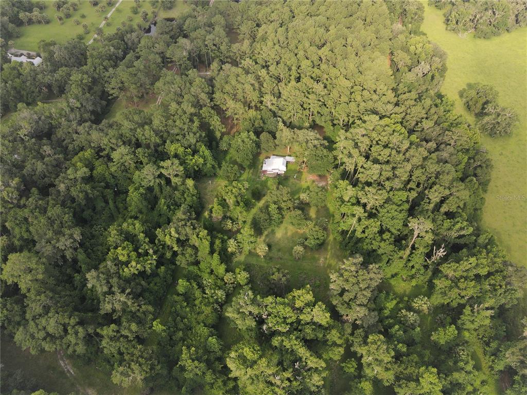 15208 Southwest Williston Road Archer, FL 32618 - Photo 12 of 44 a view of a big yard with plants and large trees