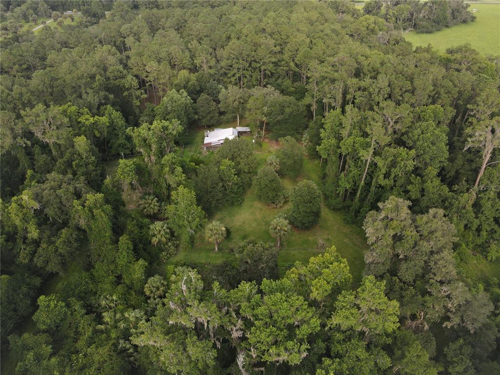 15208 Southwest Williston Road Archer, FL 32618 - Photo 15 of 44 a view of a forest with a street