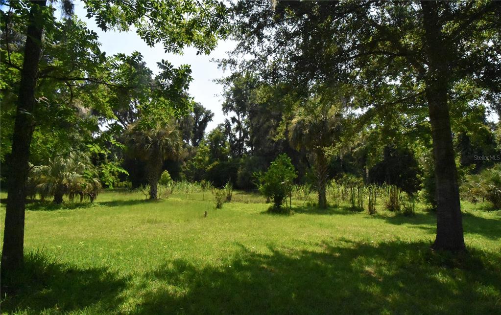 15208 Southwest Williston Road Archer, FL 32618 - Photo 26 of 44 a grassy field with trees in the background
