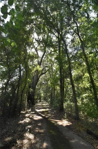 a view of a tree in front of a house