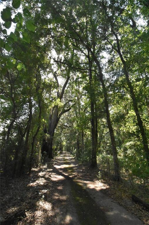 15208 Southwest Williston Road Archer, FL 32618 - Photo 32 of 44 a view of outdoor space and yard