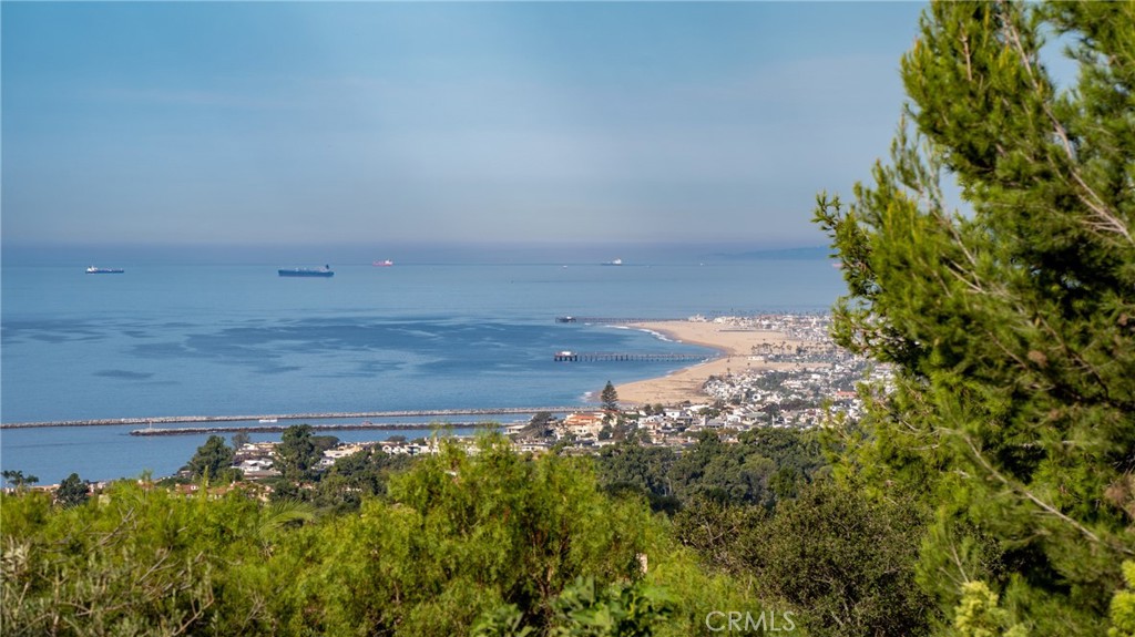 22 Deep Sea Newport Coast, CA 92657 - Photo 3 of 57 a view of a yard