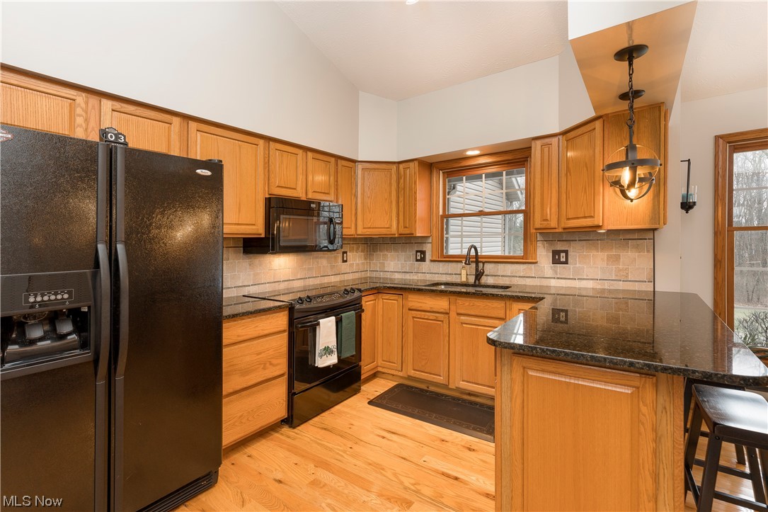 5659 State Rte 5 Ravenna, OH 44266 - Photo 7 of 48 Kitchen featuring black appliances, a wealth of natural light, light hardwood / wood-style floors, and sink