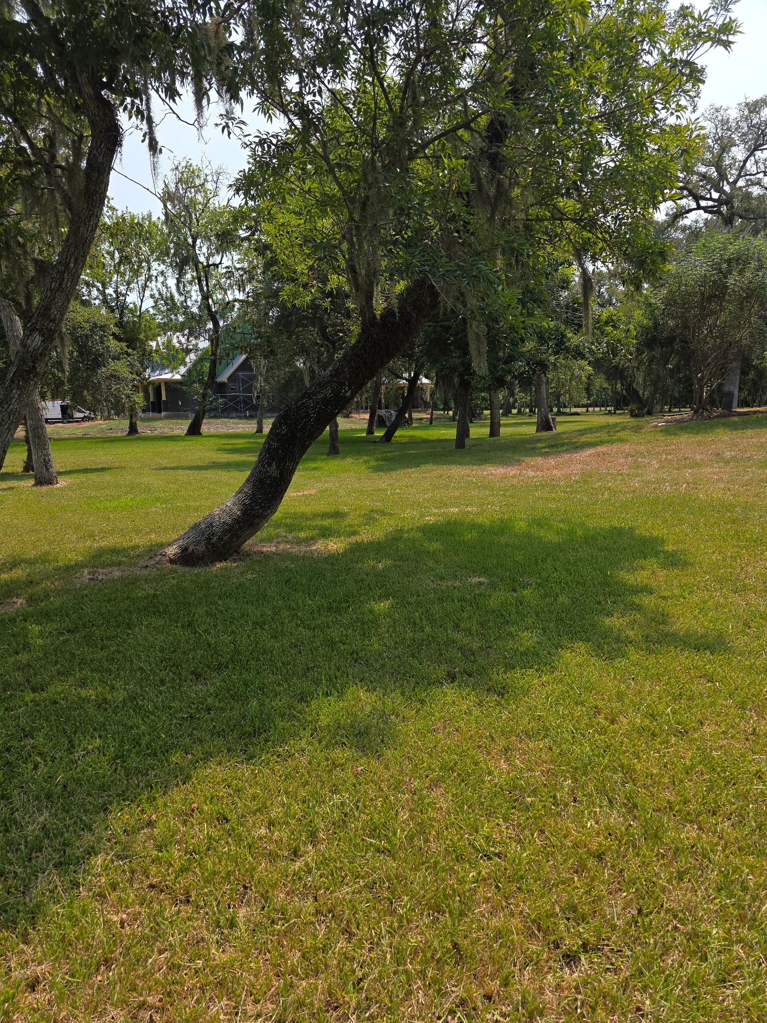 17502 Hamill Drive Rosharon, TX 77583 - Photo 6 of 6 5 acres.