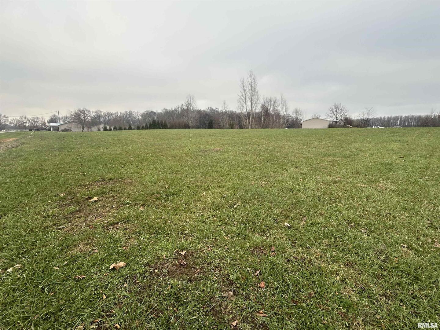 Lot 13 Krystal Lane Metropolis, IL 62960 - Photo 1 of 4