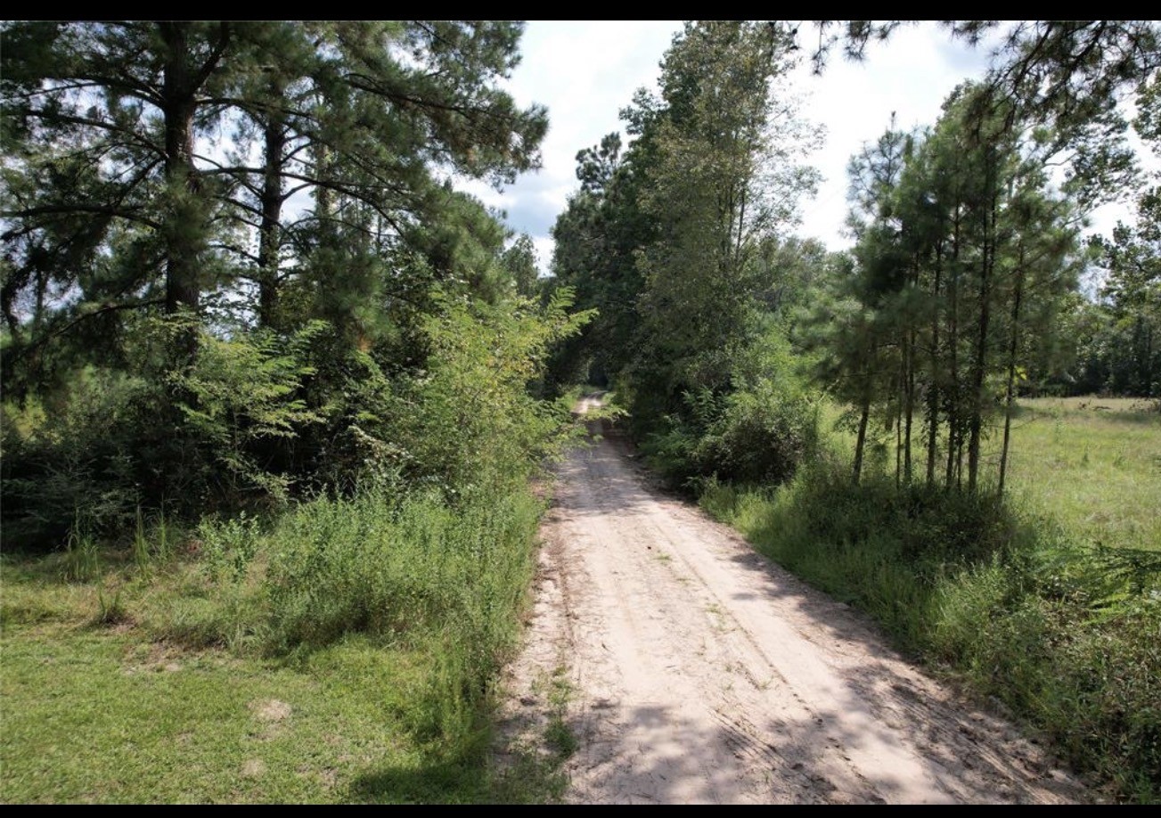 4.3 Lacy 3 Road Groveton, TX 75845 - Photo 2 of 14