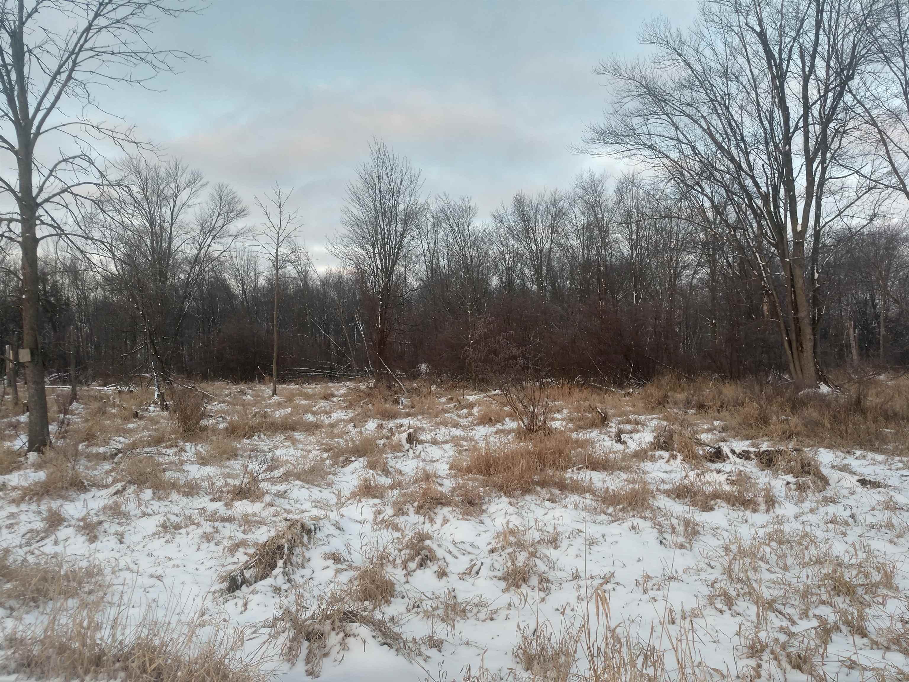 N/a Lentner Road Twining, MI 48766 - Photo 1 of 4