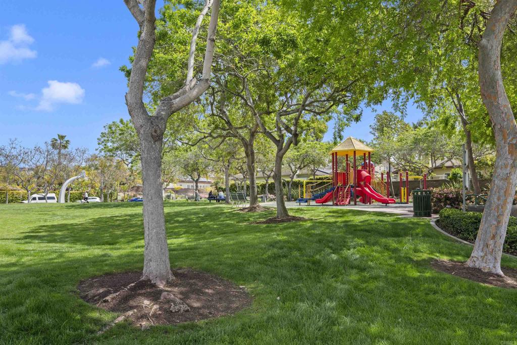 a view of a park with large trees