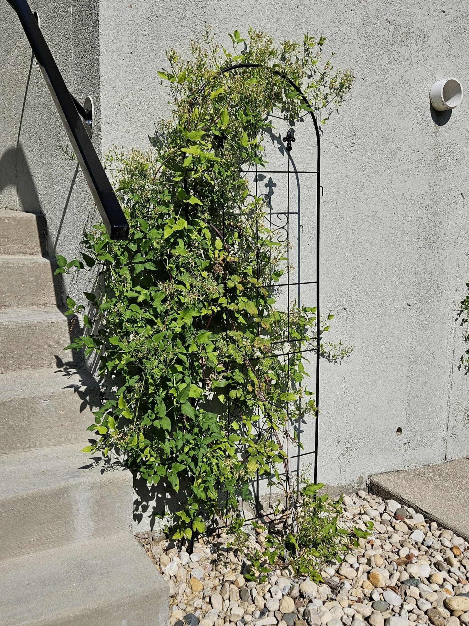 W7986 County Rd B, Unit 10 Lake Mills, WI 53551 - Photo 31 of 49 Plants