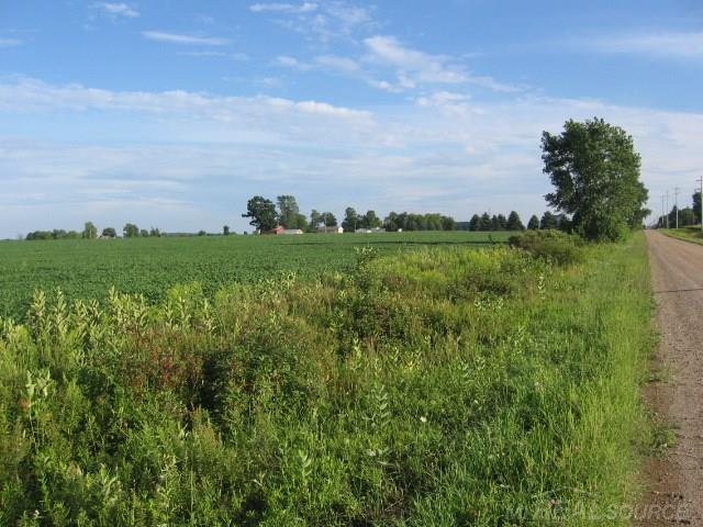 Tbd Fitch Carsonville, MI 48419 - Photo 5 of 7