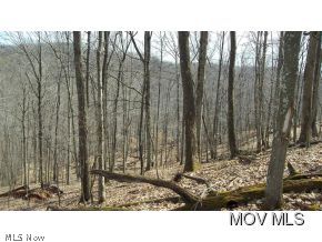 0 C Rd 21 Brohard, WV 26138 - Photo 8 of 11 Gallery Image 8