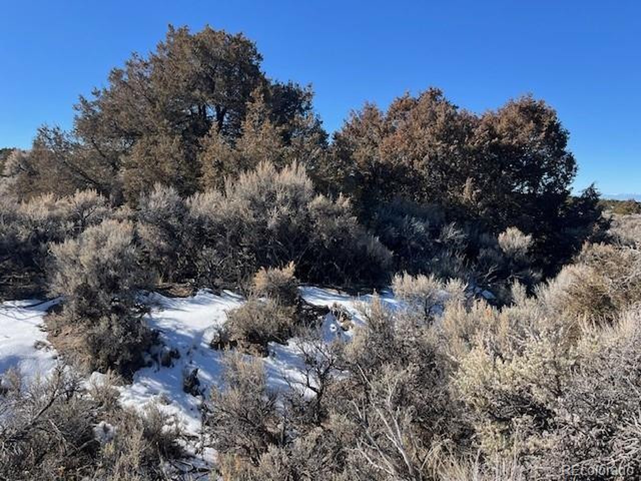 1784 Bateman Road Fort Garland, CO 81133 - Photo 11 of 27 Gallery Image 11