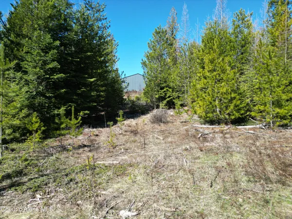 $355,000 | 123 Badger Drive, St. Maries, ID 83861