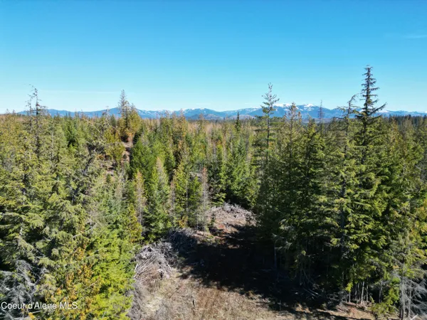 $355,000 | 123 Badger Drive, St. Maries, ID 83861