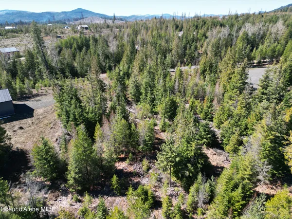$355,000 | 123 Badger Drive, St. Maries, ID 83861