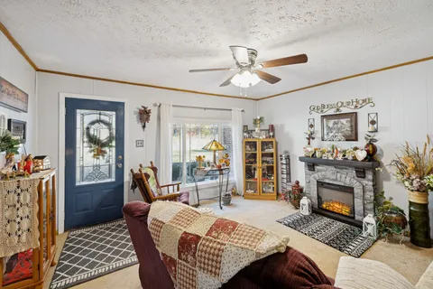 a living room with furniture a window and a fireplace