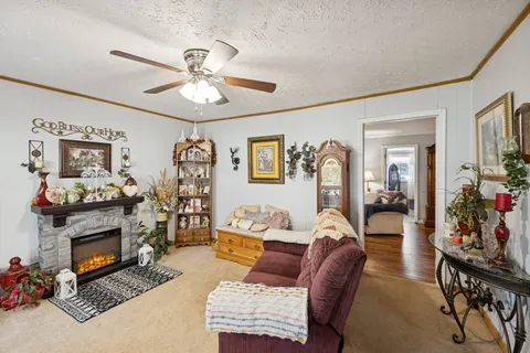 a living room with furniture a fireplace and paintings on the wall