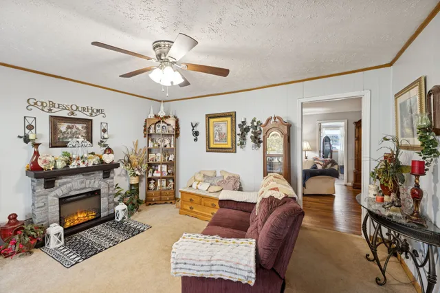 a living room with furniture a fireplace and paintings on the wall