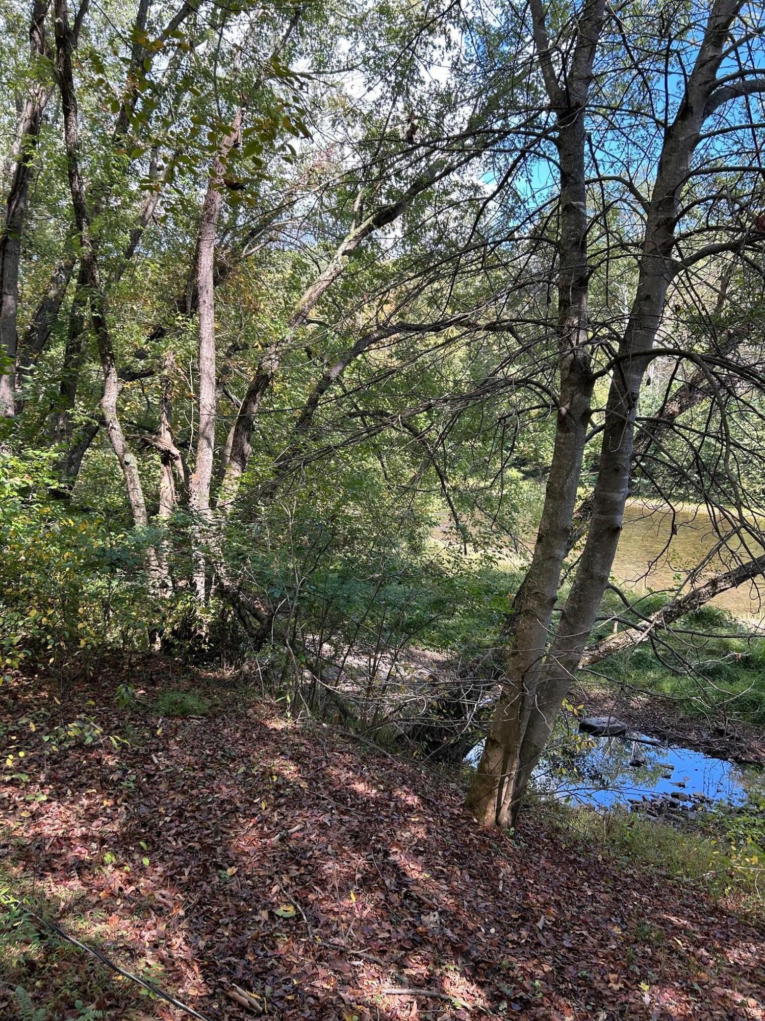 Tbd Keister Road Frankford, WV 24938 - Photo 11 of 40 Gallery Image 11