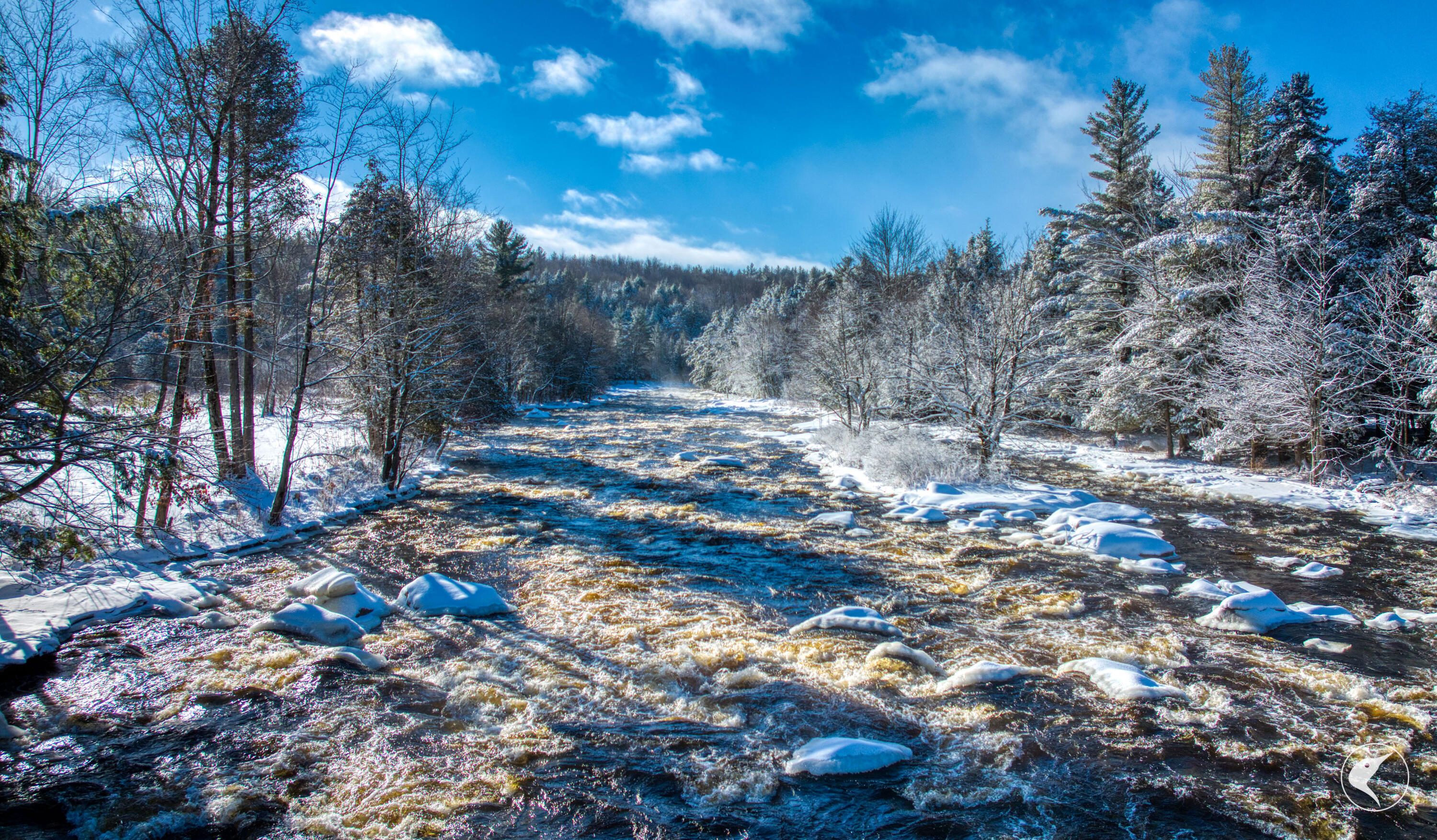 291 Hewitt Road St. Regis Falls, NY 12980 - Photo 2 of 107 DJI_20260116111908_0131_D
