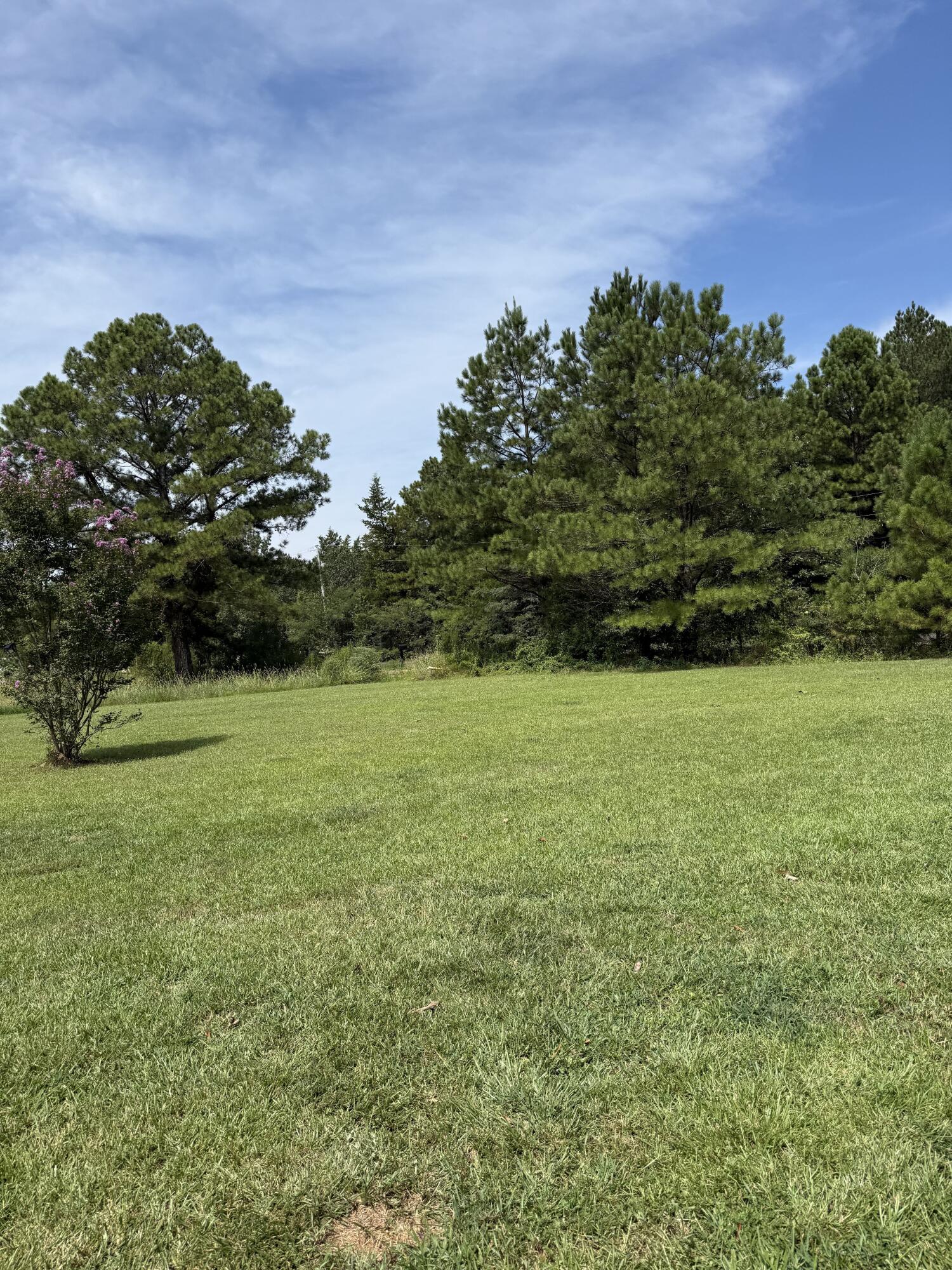 20036 Glenn T Road Aberdeen, MS 39730 - Photo 21 of 21 Gallery Image 21