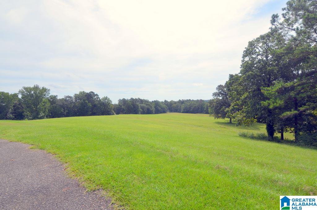 1155 Walkers Crossing Road Pell City, AL 35128 - Photo 5 of 37