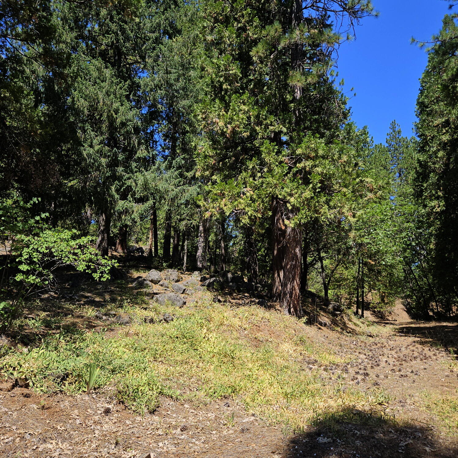 17204 Phillips Road Oak Run, CA 96069 - Photo 26 of 26 Property