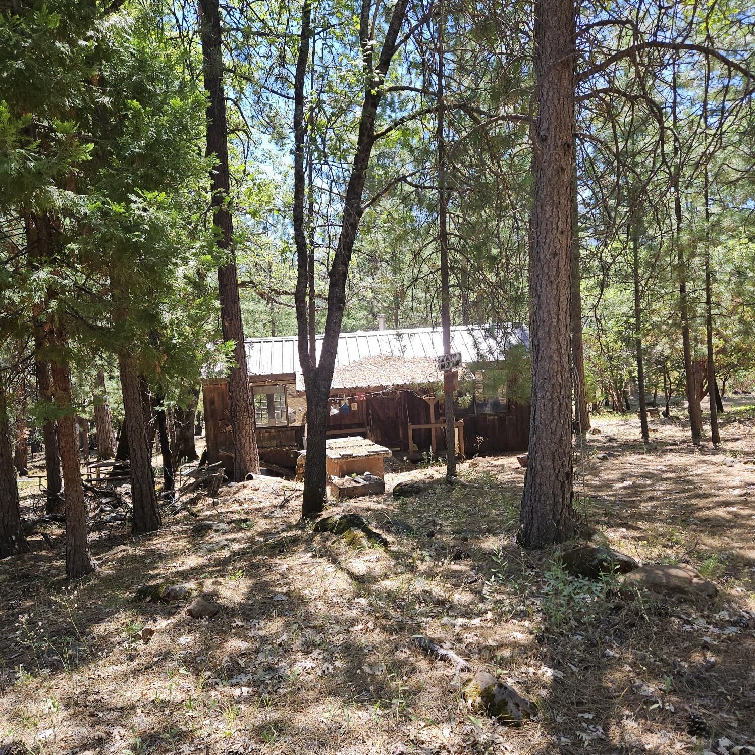 17204 Phillips Road Oak Run, CA 96069 - Photo 9 of 26 Art Studio front