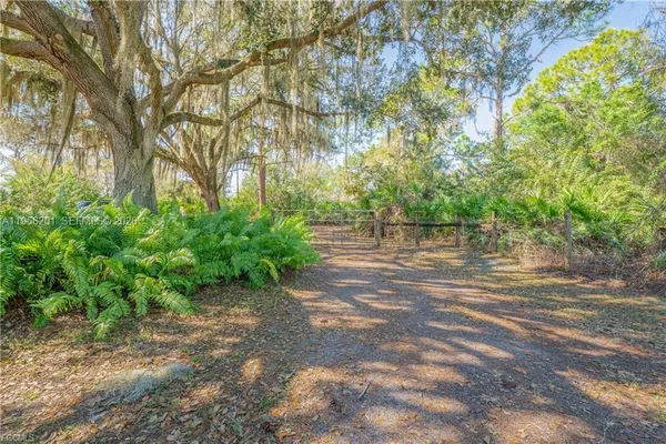 a view of a yard with a tree