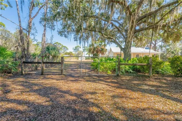 a view of a yard with large trees