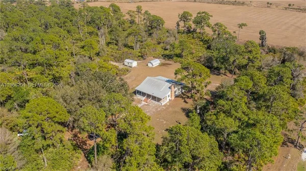 a view of a yard with a tree