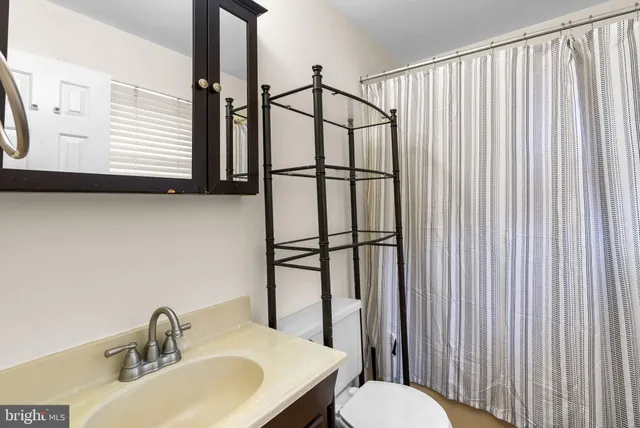 a bathroom with a sink and a toilet