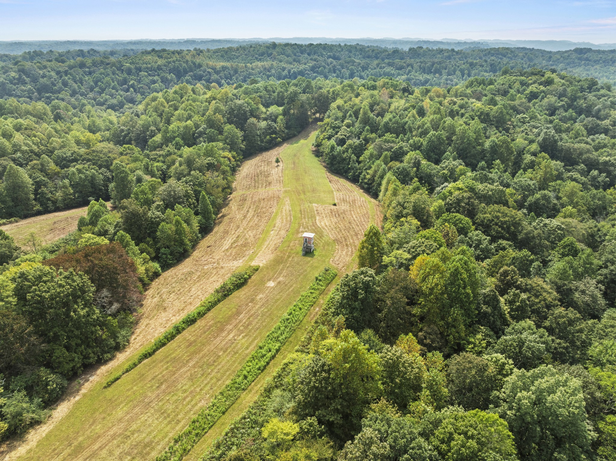 1103 Johnny Spears Road Westmoreland, TN 37186 - Photo 48 of 54