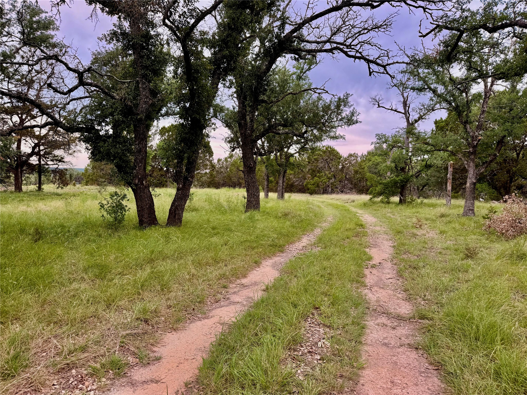 2017 County Road 222 Kempner, TX 76539 - Photo 9 of 16 Expansive natural landscape featuring a winding dirt path, mature trees, and abundant green grass