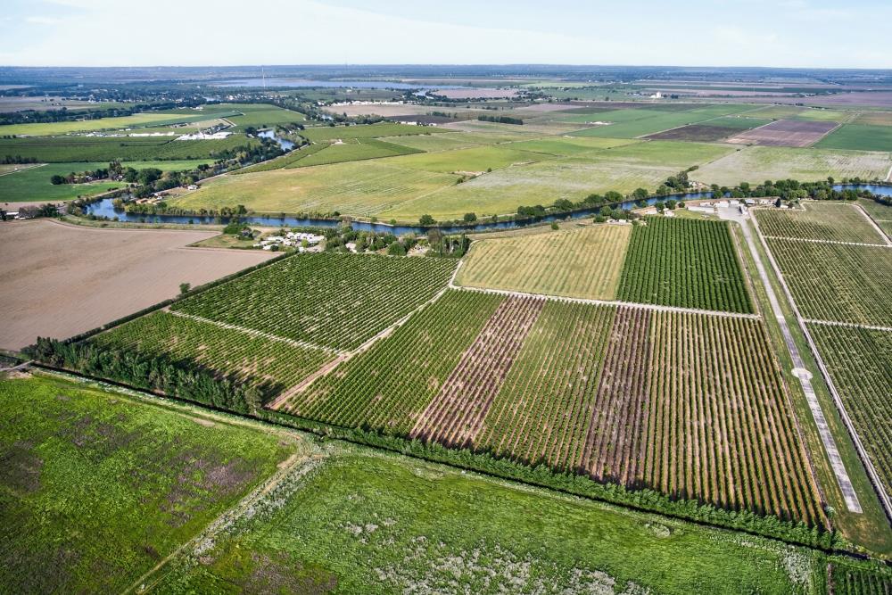 0 Andrus Island Road Isleton, CA 95641 - Photo 12 of 41