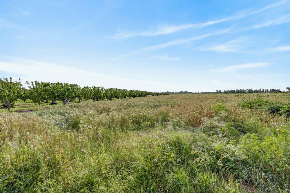 0 Andrus Island Road Isleton, CA 95641 - Photo 15 of 41