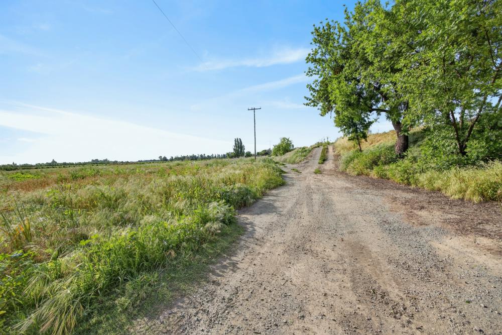 0 Andrus Island Road Isleton, CA 95641 - Photo 16 of 41