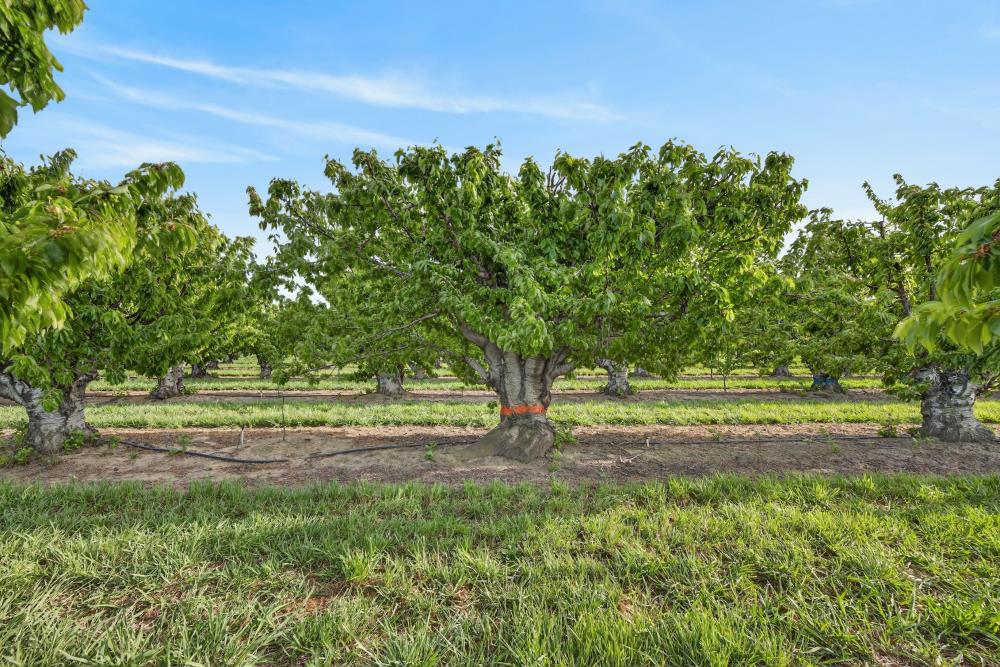 0 Andrus Island Road Isleton, CA 95641 - Photo 21 of 41