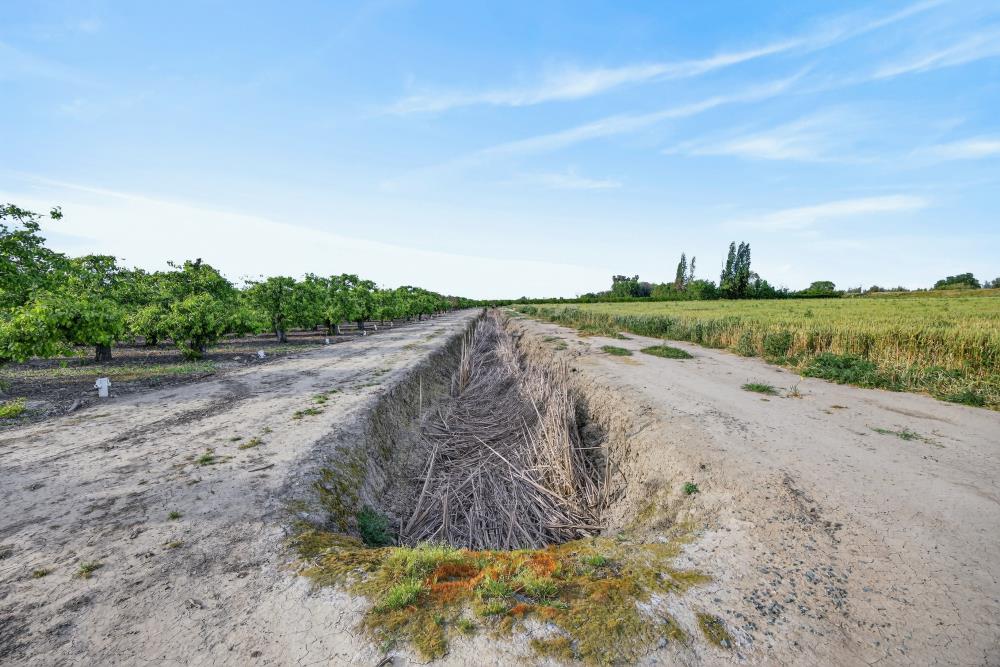 0 Andrus Island Road Isleton, CA 95641 - Photo 23 of 41