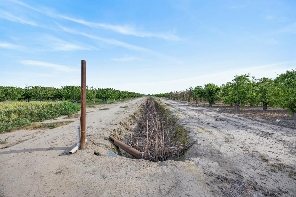 0 Andrus Island Road Isleton, CA 95641 - Photo 24 of 41