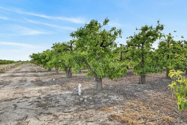 $1,895,000 | 0 Andrus Island Road, Isleton, CA 95641