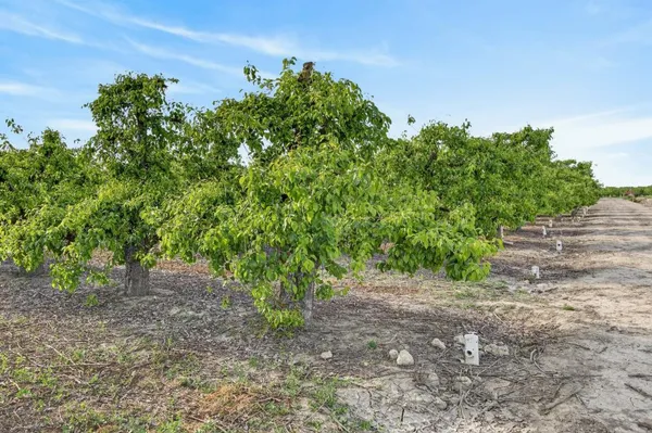 $1,895,000 | 0 Andrus Island Road, Isleton, CA 95641